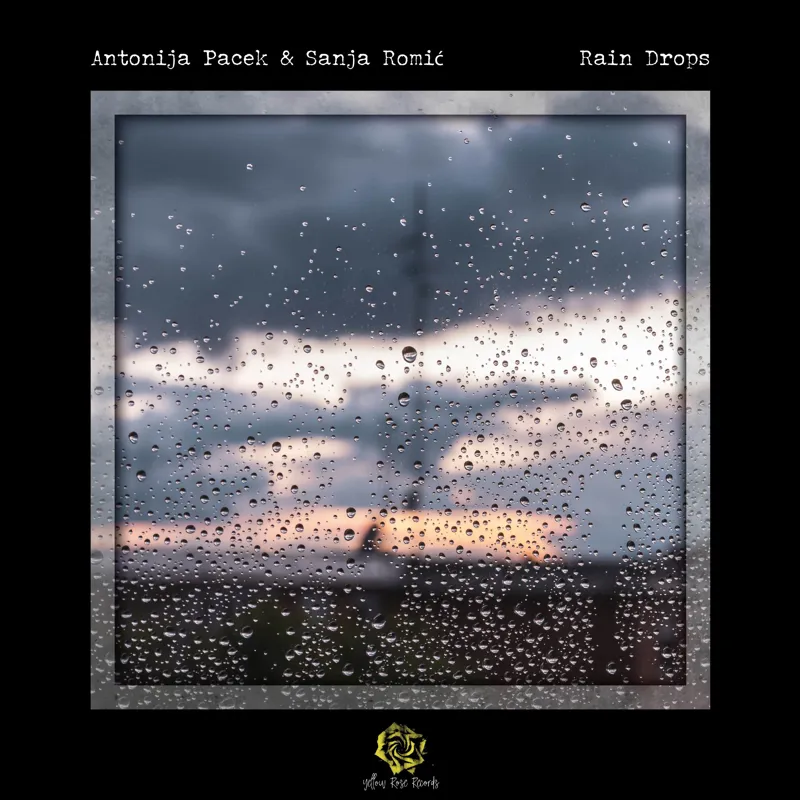Rain Drops